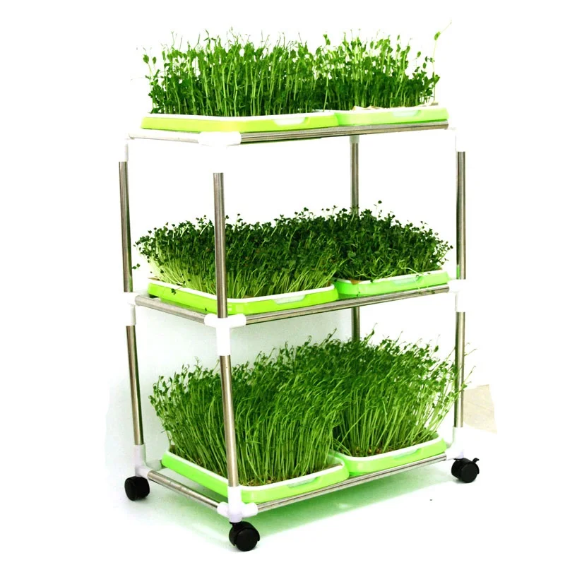 hydroponics kit1.jpg