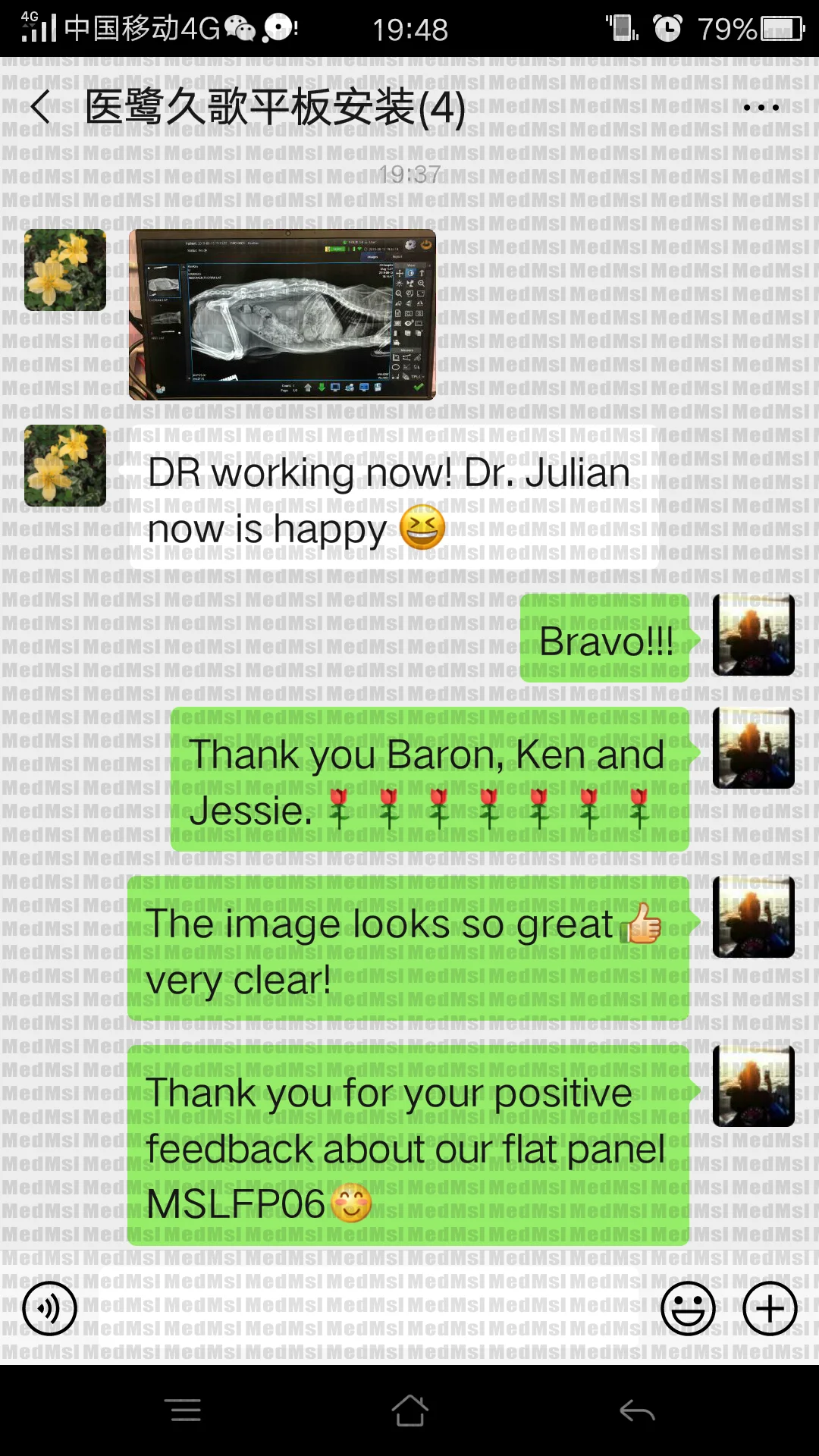 MSLFP06Hong Kong.png