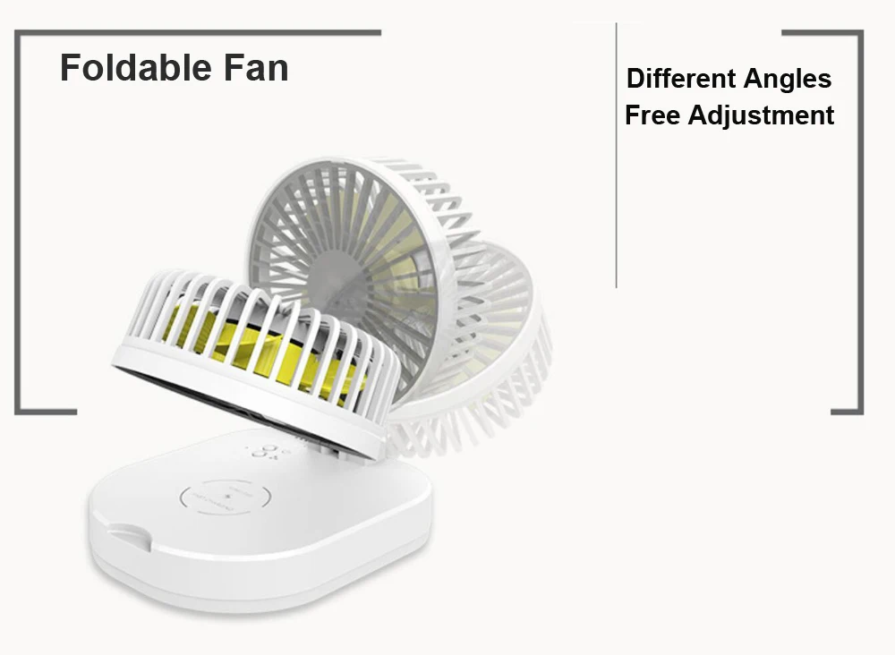 fan 3.jpg