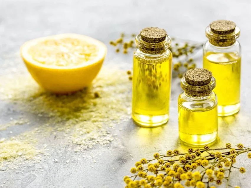 Sale Candle Scent Oil Fragrance Buy Candle Scent Oil Fragrance Rose/coconut Vanilla,Candle