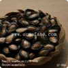 Chinese black water melon seeds kernels