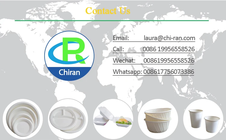 Corn Starch Food Container With Corn Starch Lid