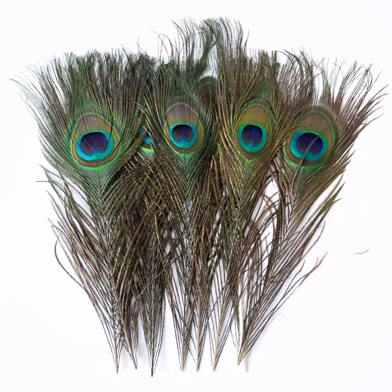 Wholesale Hot Selling Gorgeous Natural Sale Eyes Peacock Feather For   Hb0a85e332fd14c22b21431008b607598L 