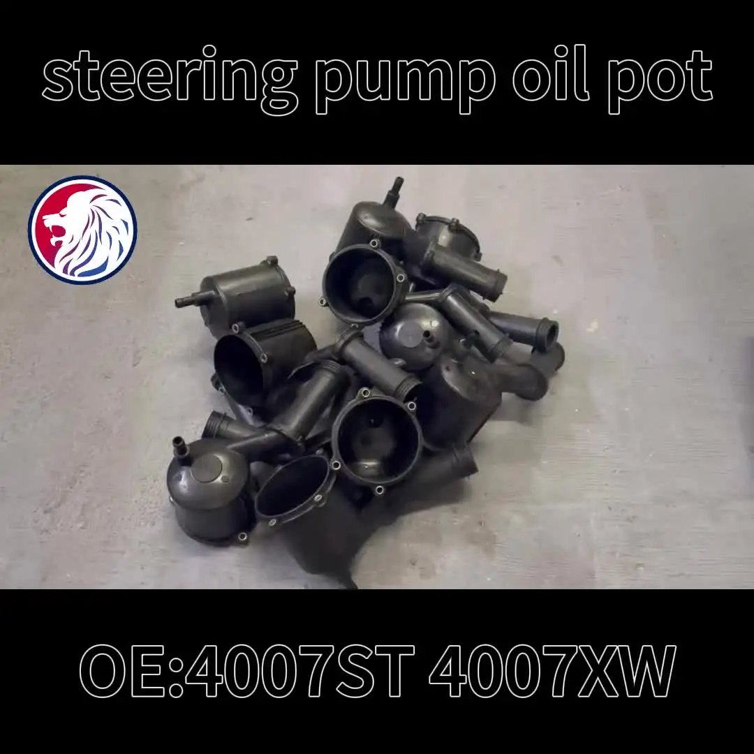 Refurbished Power Steering Pump For Peugeot 307/307CC & Citroën C4