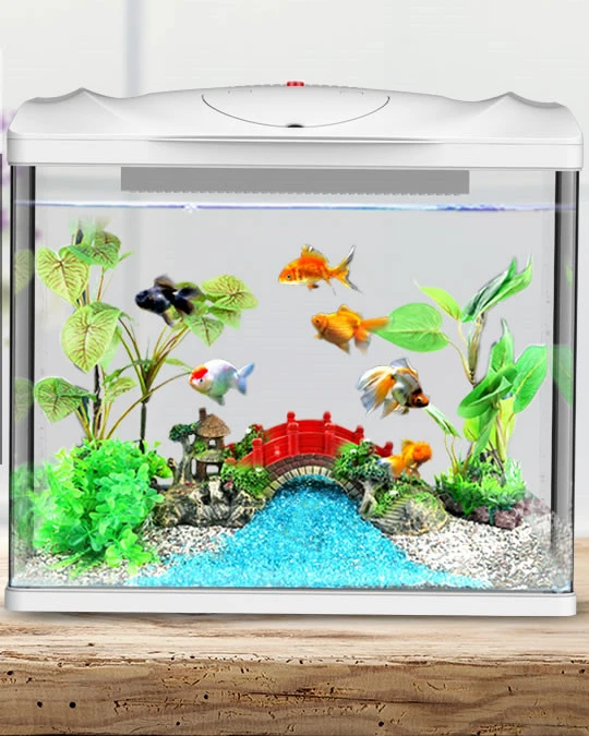 Mini Automatische Filter Goldfisch Tropische Fische Live