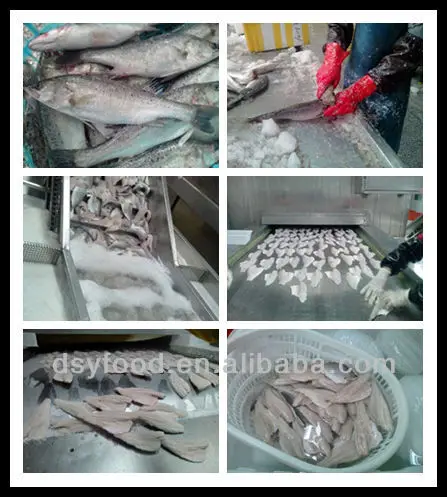 Frozen Tilapia Fillet Fish