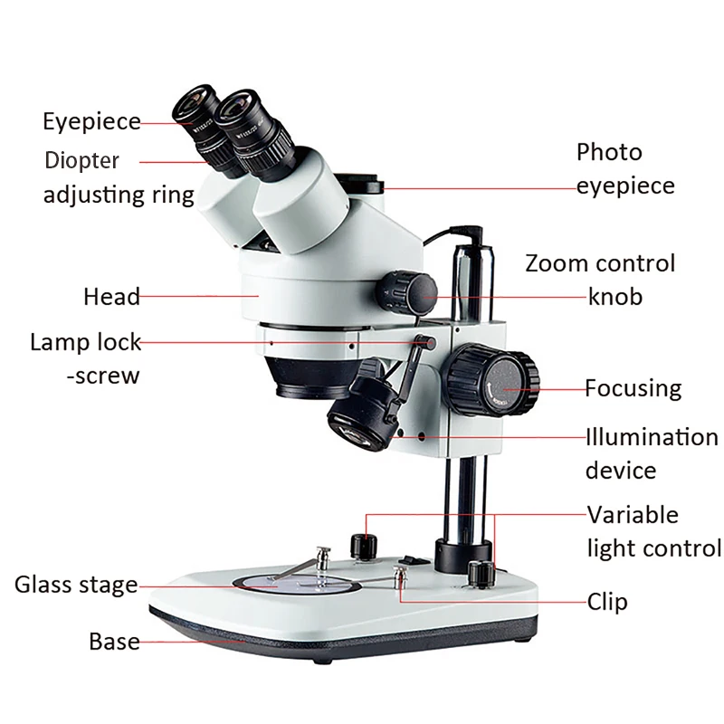 Generic High Quality Mini 45X Microscope Adjustable Focus With Led Lights 