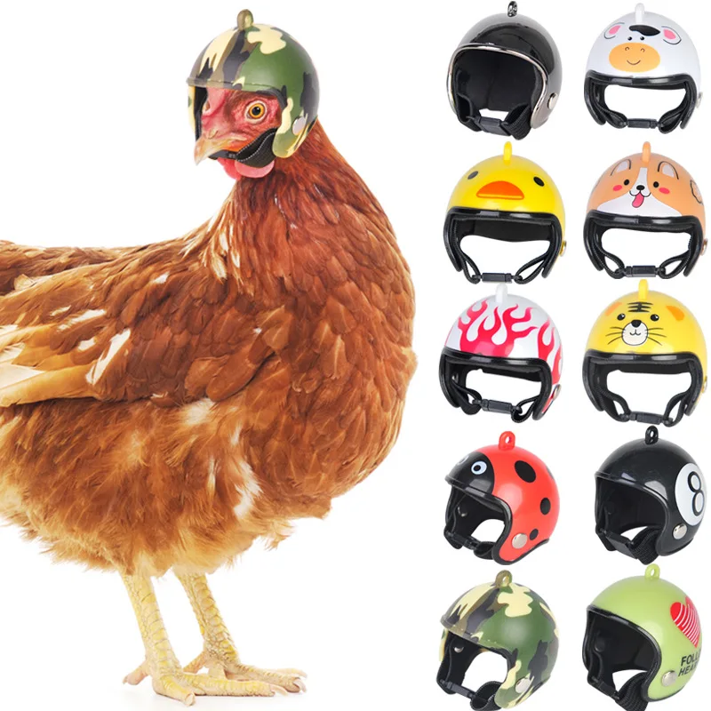 Protective Chicken Helmet Pet Goose Safety Helmet Funny Parrot Chicken