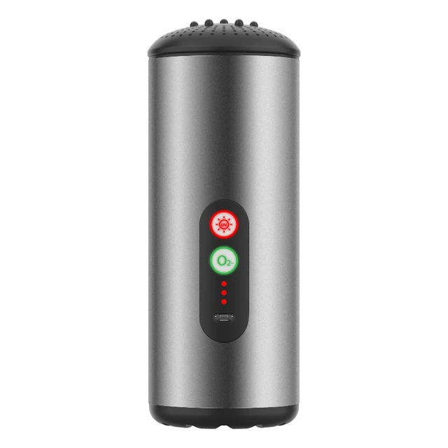 Hot Sale Negative Ions Ozone UVC Lamp Sterilizer Air Purifier in Car