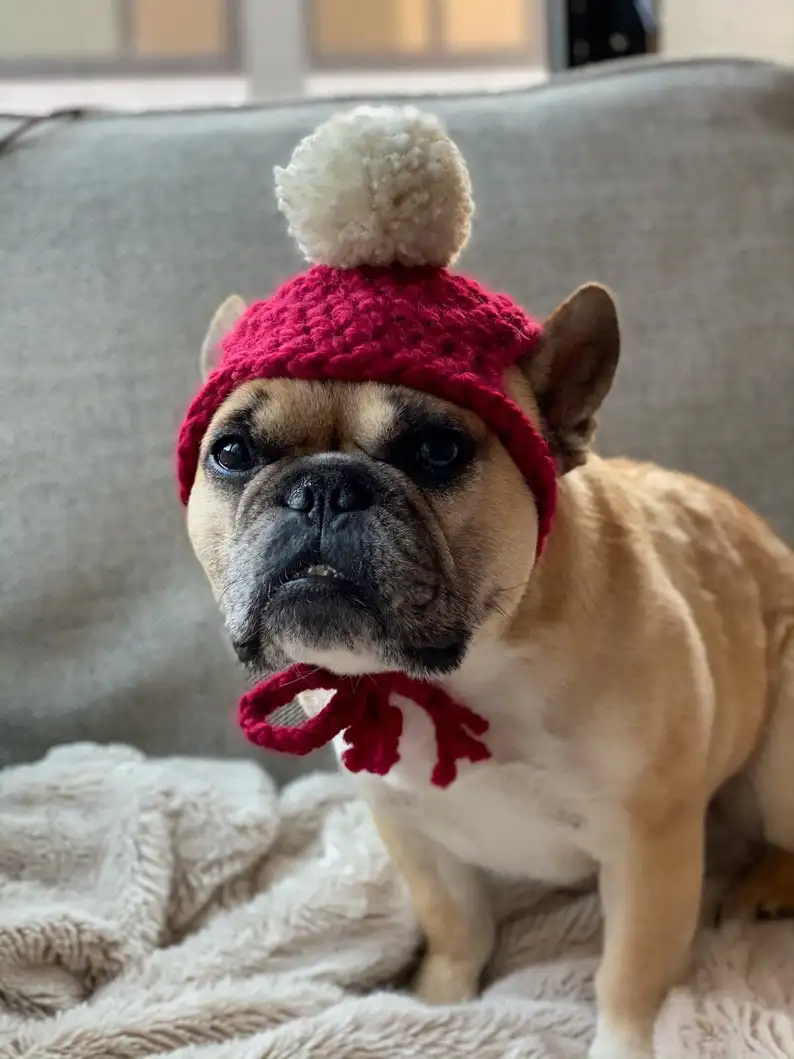 Y-z Pet Clothing Accessories Handmade Dog Beanie With Pom Pom Crochet Knit  Dog Hat Gift - Buy Dog Beanie,Pet Clothing,Pet Hats Product on Alibaba.com