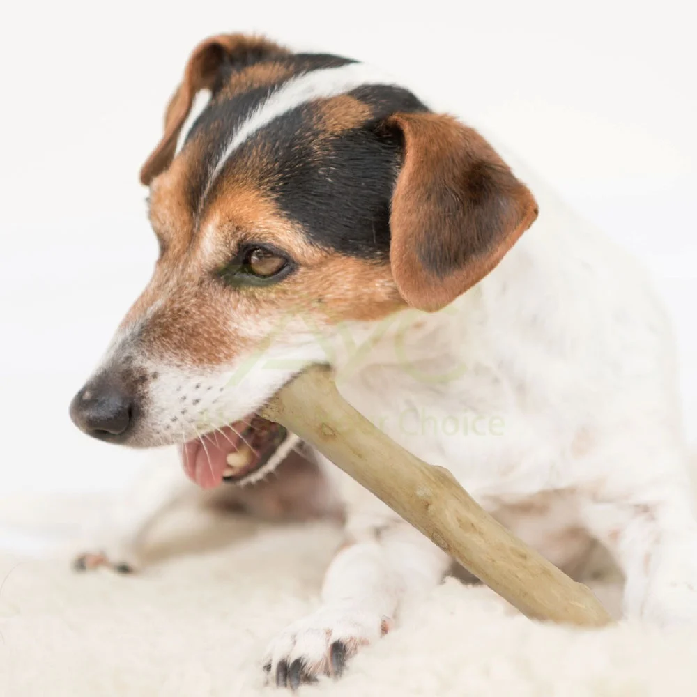 
AYC Eco-friendly Exclusive Dealing Java Wood Coffee Wood Dog Chew 