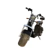 Multi color fast citycoco fashion electric scooter evo with factory direct sale price
