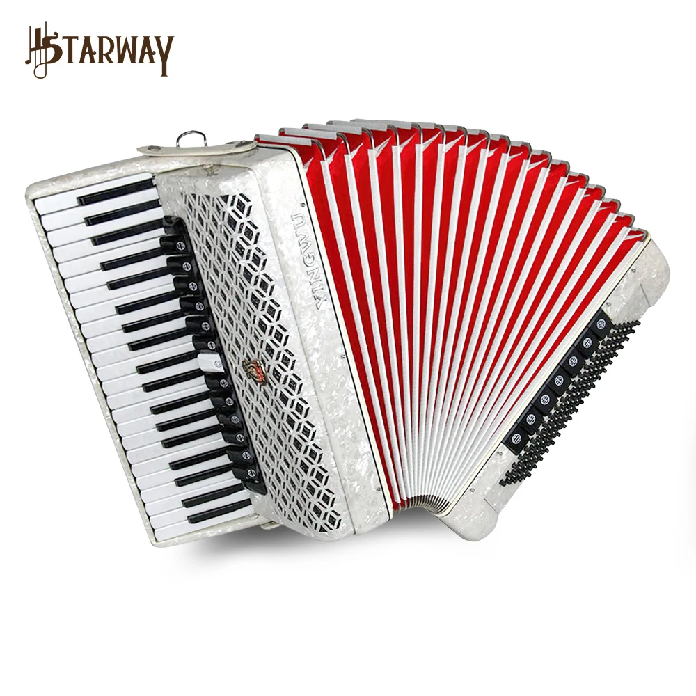 China Parrot 41 Keys 120 Bass Diatonic Accordion Piano