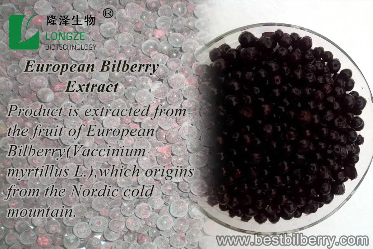 Natural Plant Extract Anthocyanins Bilberry Extract/ Blueberry Extract