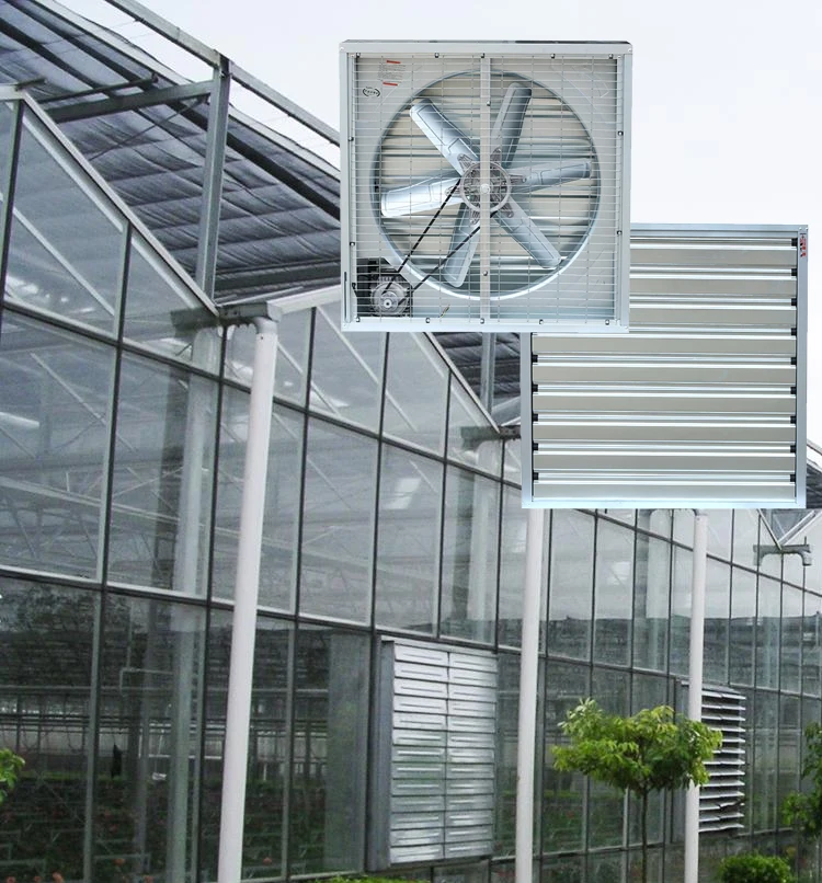 Ventiladores De Escape De Aire De Ventilación Axial Industrial,Grandes