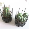2019 ins Nordic style wrought iron simulation desert meaty cactus flower pots set plant crafts decoration