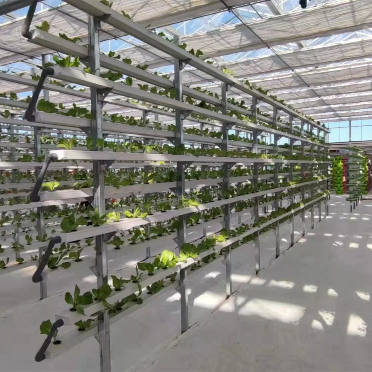 Agriculture Farm Complete Nft Channel Hydroponic Growing System