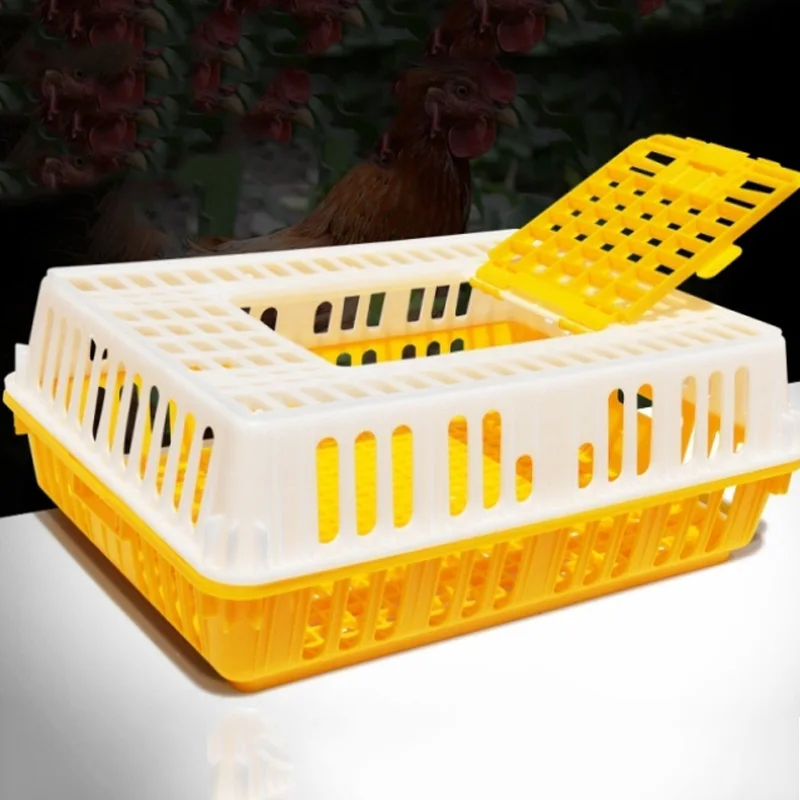 cage.jpg