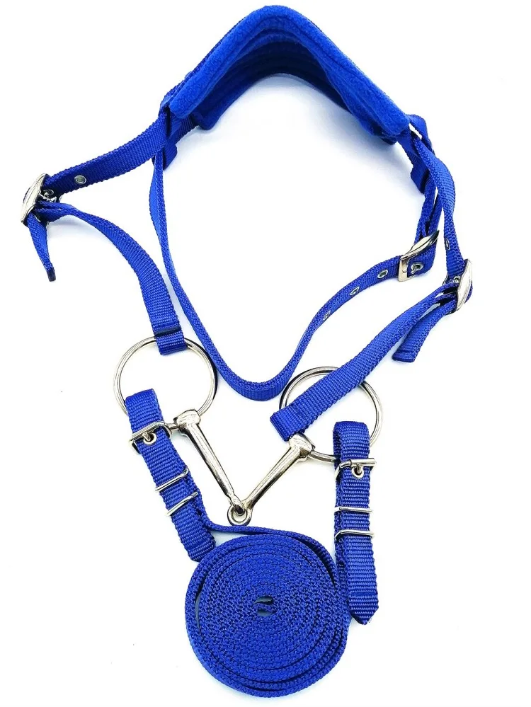 horse halter (10).jpg