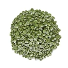 High Quality Kenya Arabica Washed Green Coffee Bean