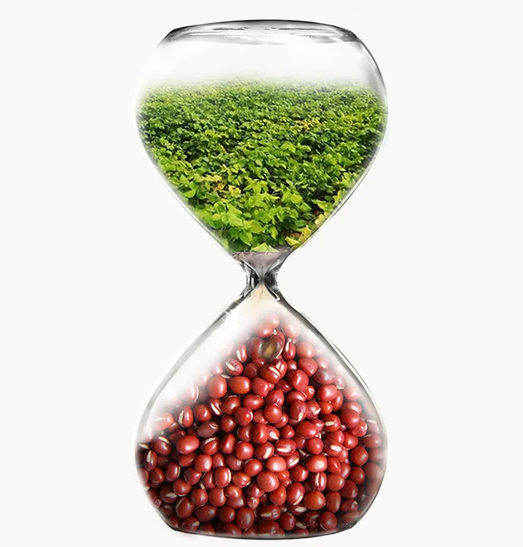 New Crop Common Red  Pearl Red Small Red Beans Adzuki Beans