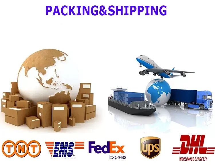 laptop backpack for women