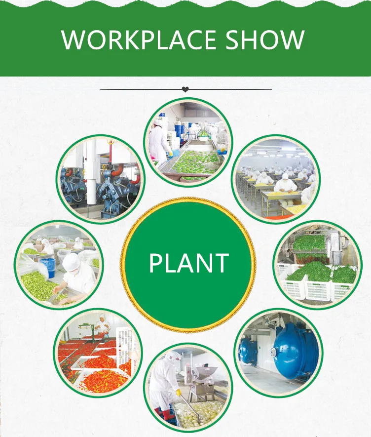 Best-Seller China Factory Supply New Crop Garlic Powder And Onion Powder