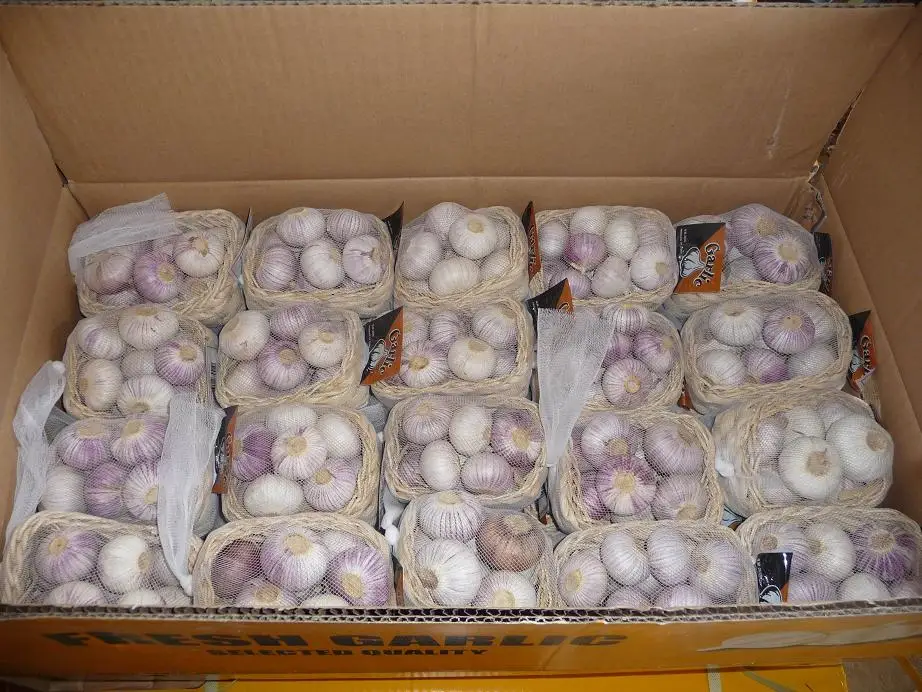 New Crop Of Fresh Single Clove Garlic From China Buy Single Clove