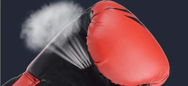 Premium Professional Boxing Gloves Sanda Training UFC MMA Gloves