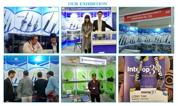 exhibition.webp