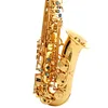 /product-detail/gold-lacquer-brass-alto-eb-instrument-accessories-professional-china-sax-saxophone-alto-62408064635.html