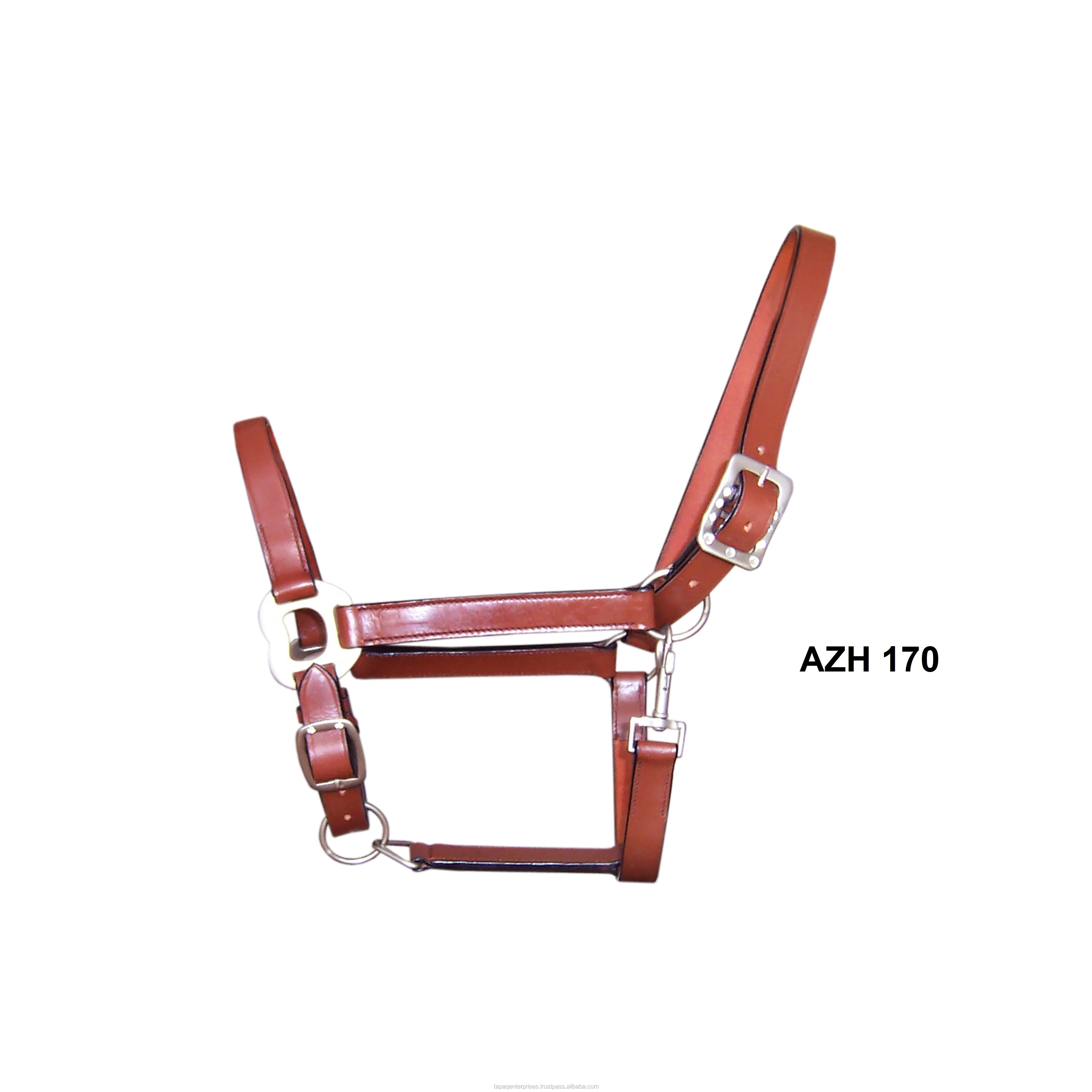 AZH 170.jpg