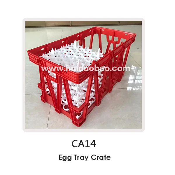 Folding Sheets Packing Pp Plastic Egg Crate Buy Folding Egg Crate