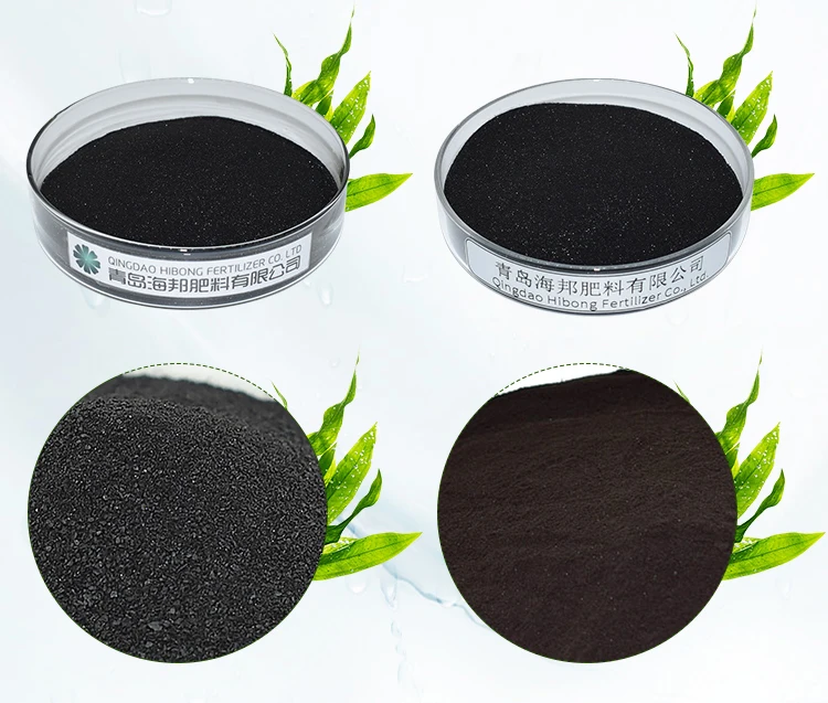 Magnesium Fertilizer