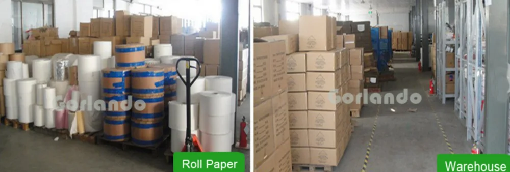 paste-pic-dp_uuid_83qpg