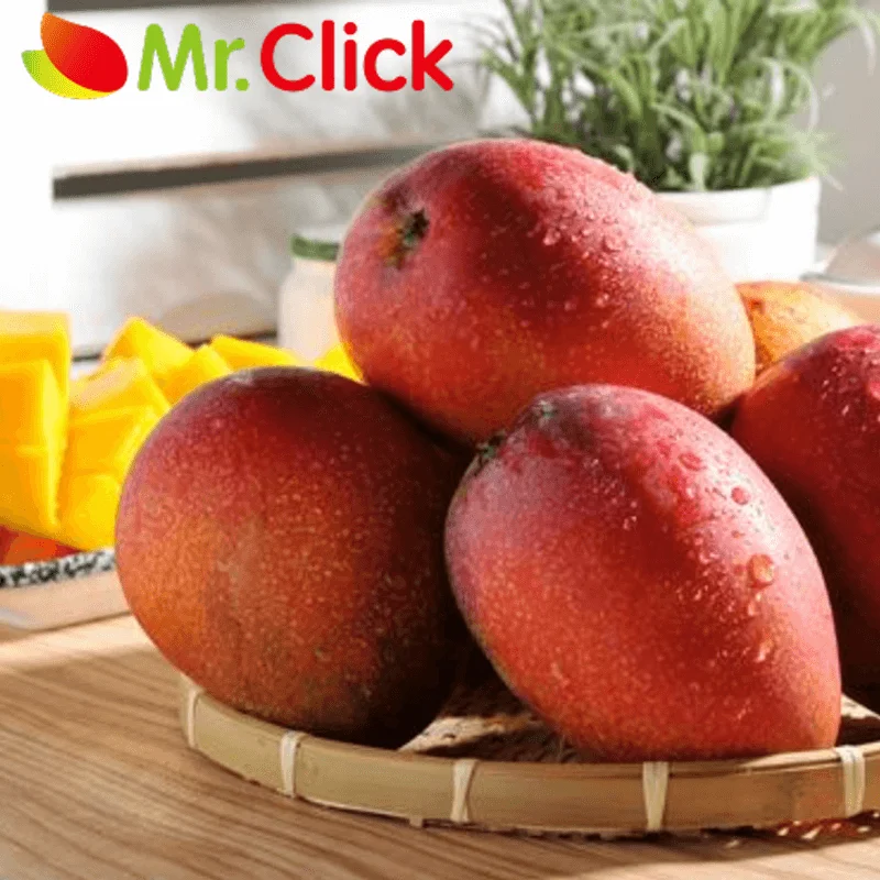 Taiwan High Quality Fresh Fruit Irwin Mango Apple Mango Buy Fresh