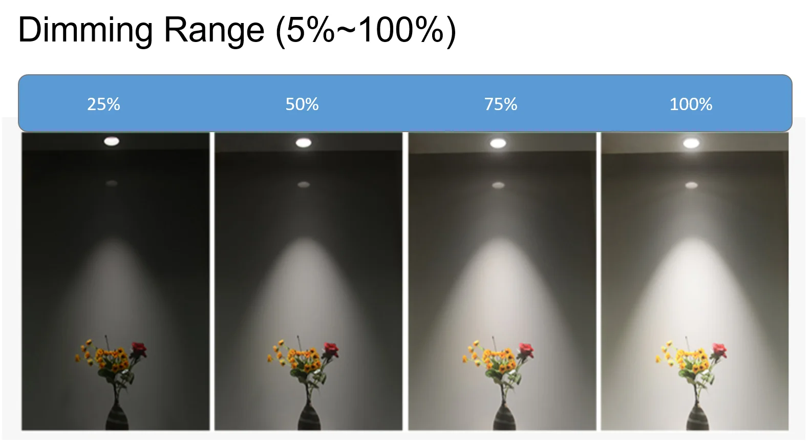 5% dimming.png
