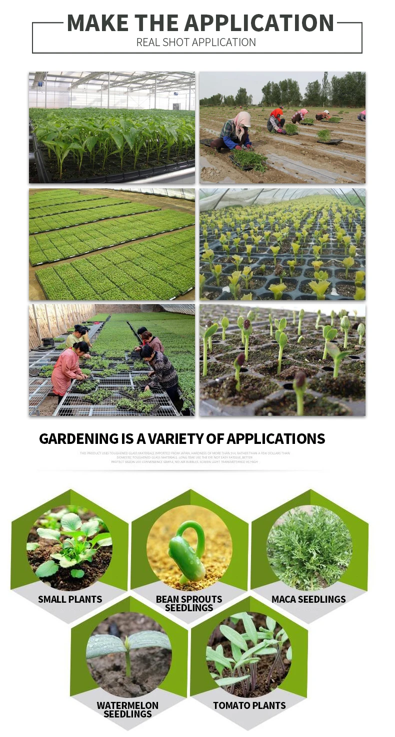 Semillas De Flores Campanas Amarillas Esperanza Flor Trumpetbush Plat Firm Germinacia N De Las Semillas Tecoma Stans 40 Semillas Invernaderos Y Equipos De Germinacion Jardin Westparkcleaners Com