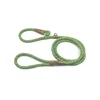 Taipets Top Quality Adjustable training Stitching Safety Nylon Pet Rope Slip Dog Lead