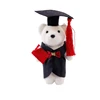 Wholesale university mascot mini Bubble bear plush graduation teddy bears