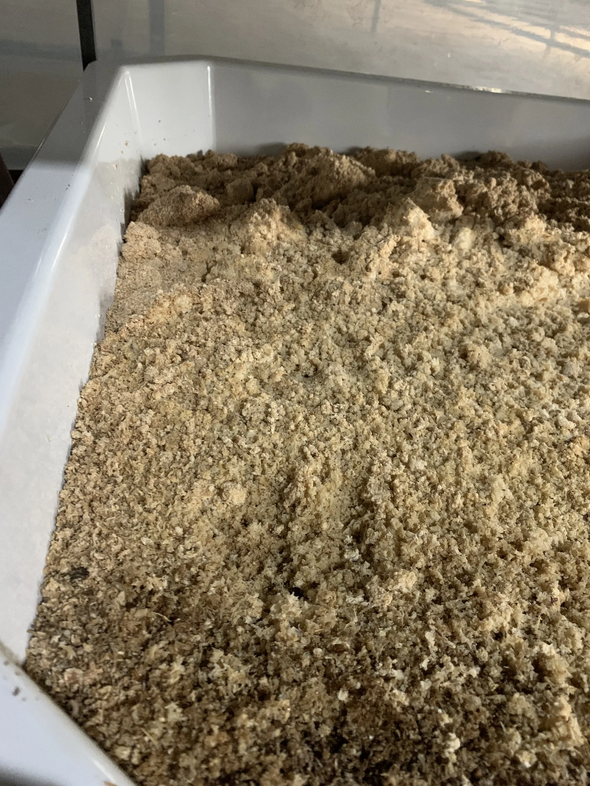 40千克重量容量玻璃纤维黑兵苍蝇幼虫塑料繁殖盘