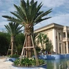 Simulated coconut palms and artificial palm trees exported can be used for indoor or outdoor decoration