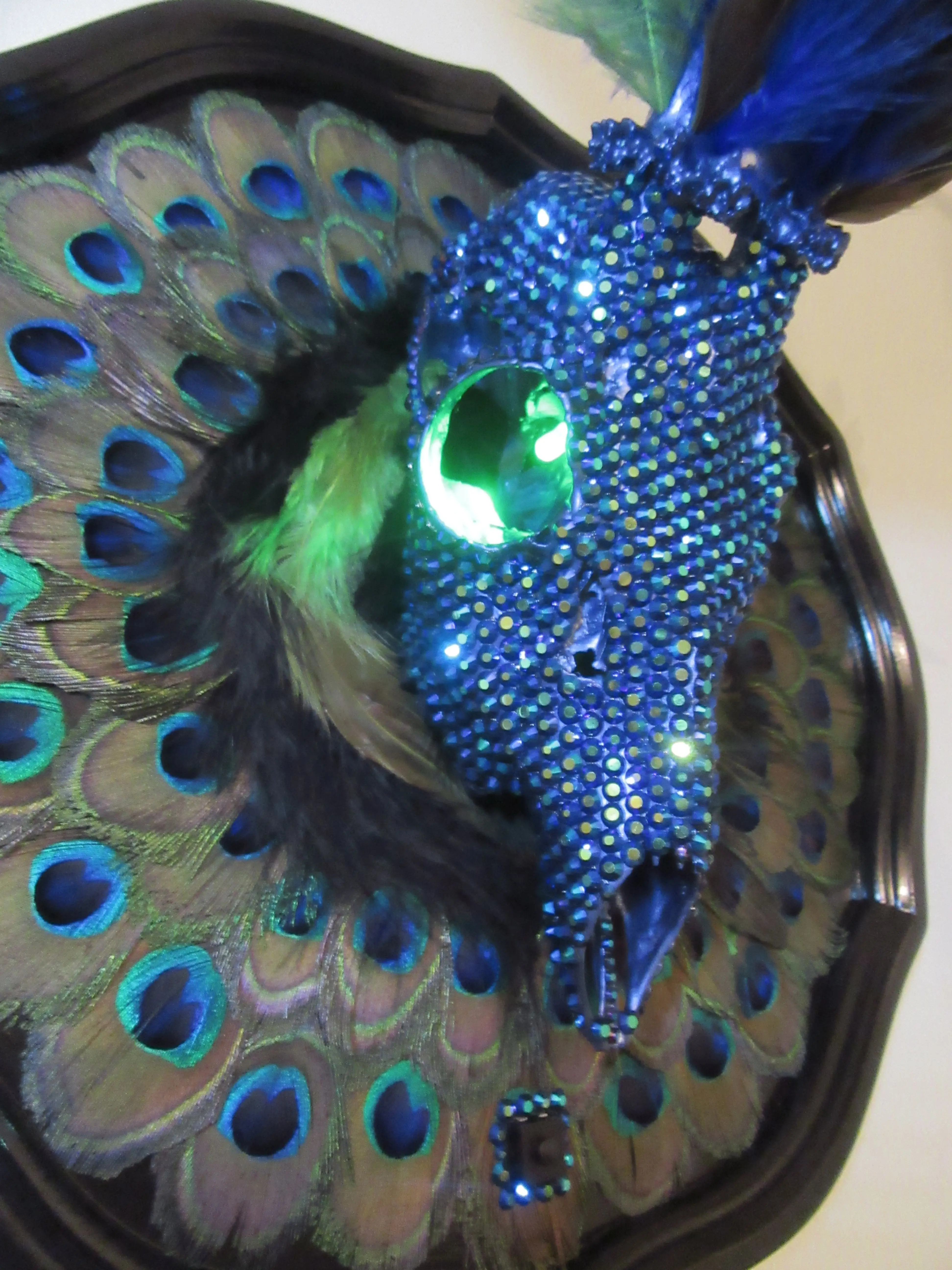 Excellent Quality Exporter Cheap Dyed Color India Peacock Feather Tail