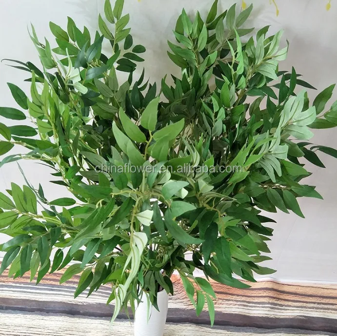 willow leaf  (5).JPG