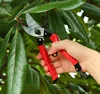 /product-detail/grape-pruning-shears-62390328340.html