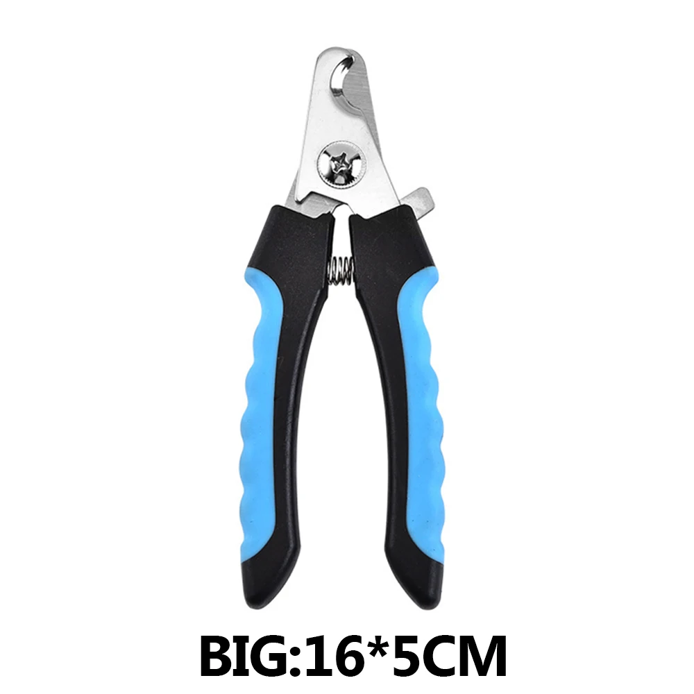 B1.jpg