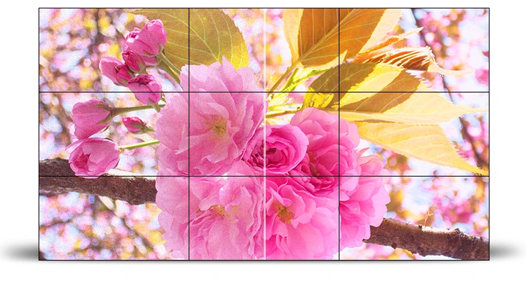 3D.jpg