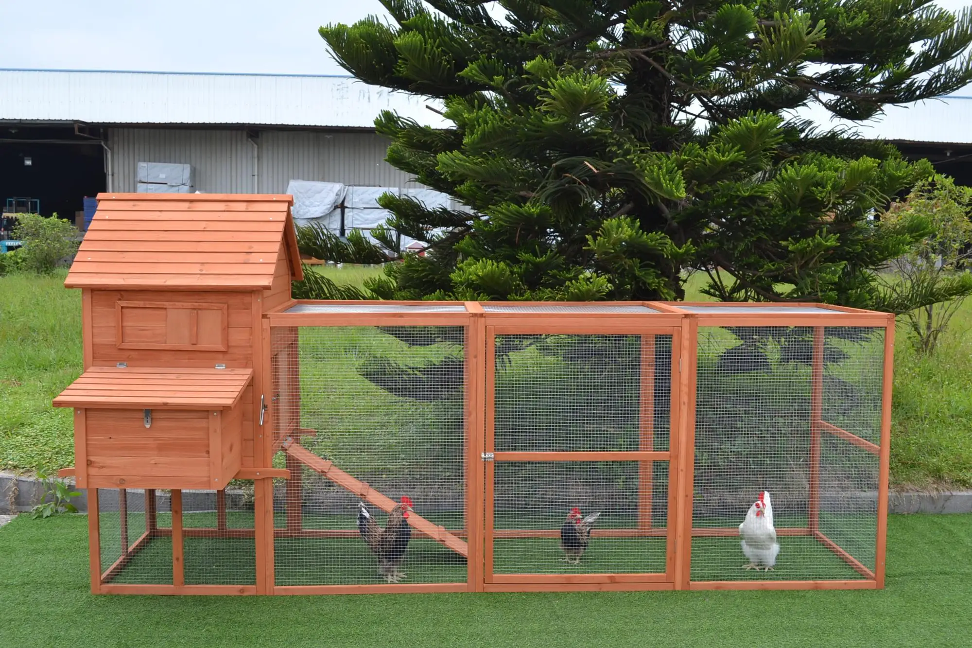 Wooden Chicken Coop Buy Large Run Easy Clean Chicken Coop With Zinc