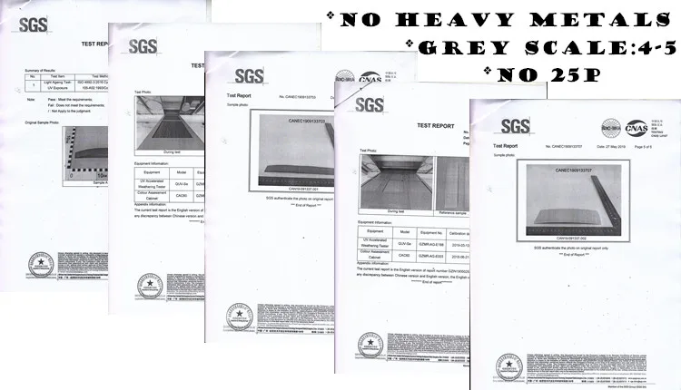 SGS REPORTS.jpg