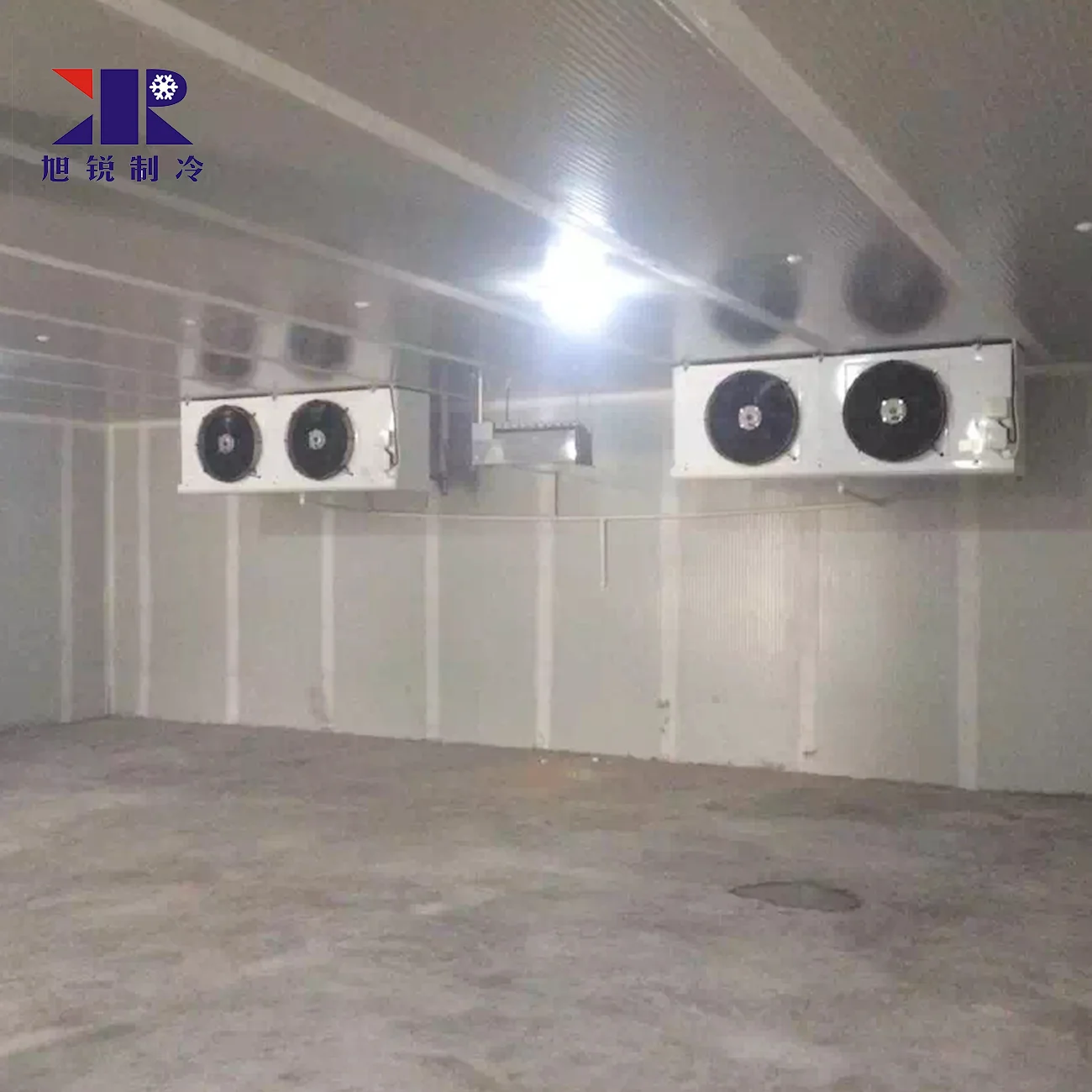 fresh vegetables and fruit cold storage room cold room light